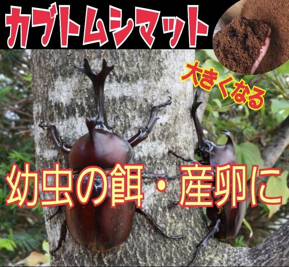 カブトムシ幼虫の餌、産卵に抜群！改良しました！発酵マット【たっぷり60リットル】