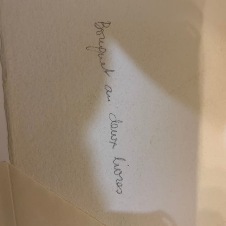 絵 A-ANTONINI アナピア・アントニーニ　水彩画　本と花