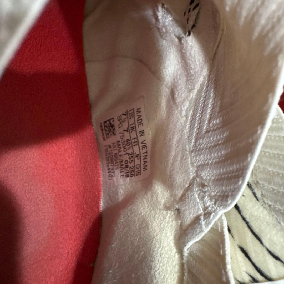 サッカースパイク　アディダス ネメシス 18.1 FG/AG