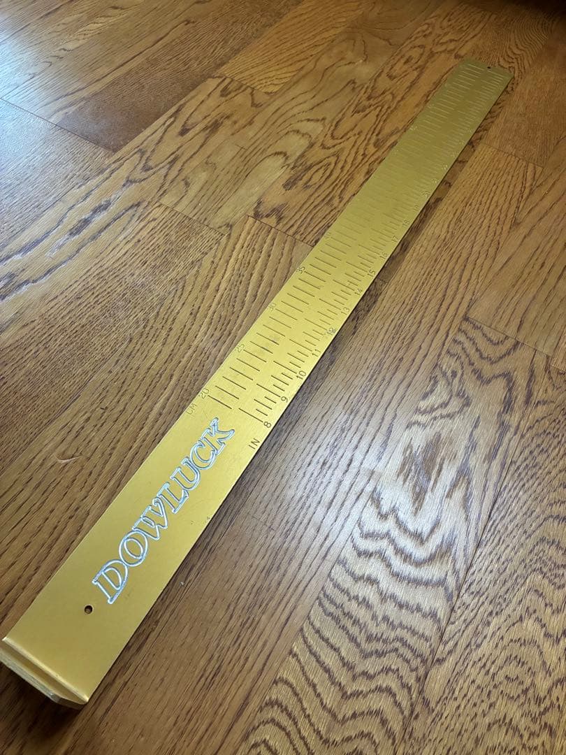 道楽　DOWLUCK インチキなしスケール