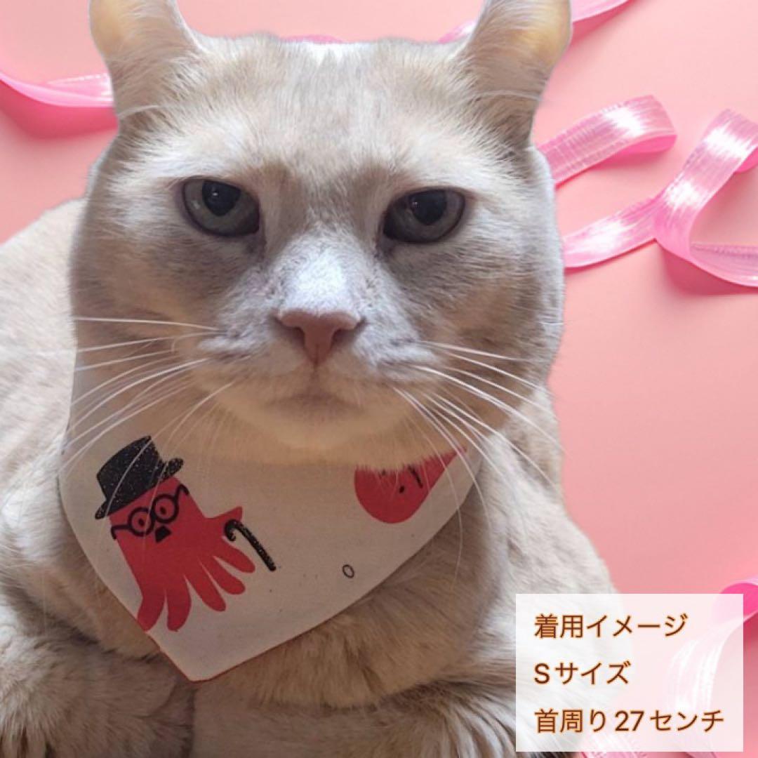 犬ネコ用リバーシブルバンダナ★着用イメージ写真★