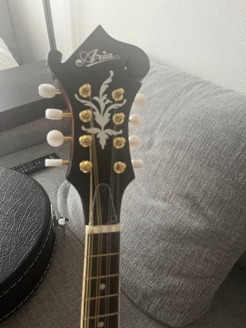 ARIA AM-40 フラットマンドリン
