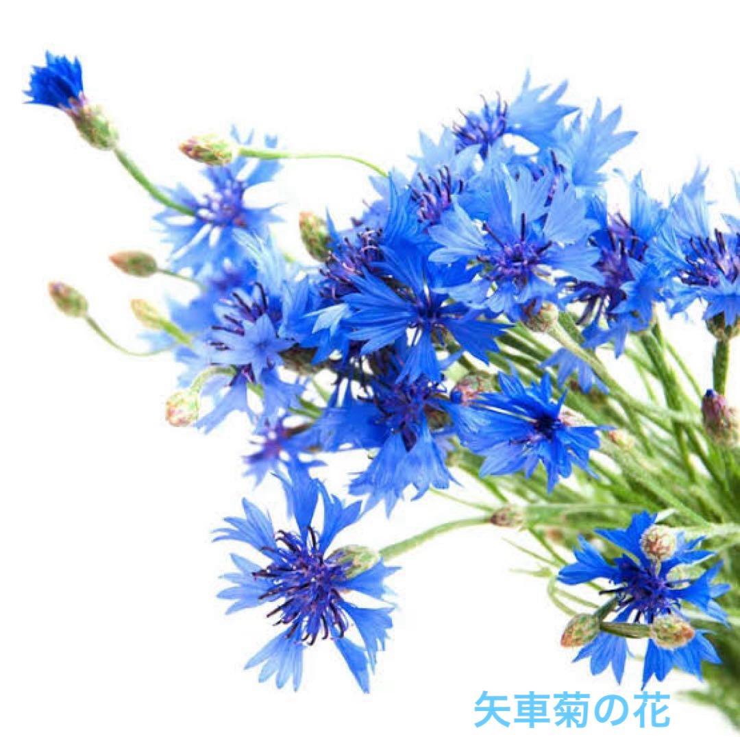 LEFFIA様の専用ページです。