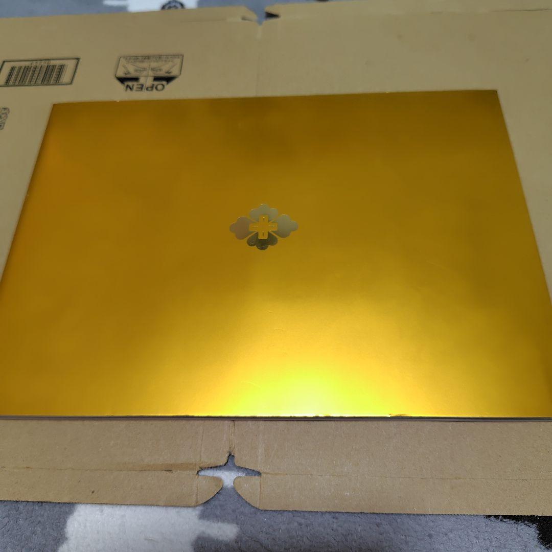 希少品 任天堂 会社案内 2008年版 DVD付属 コレクション 資料 非売品