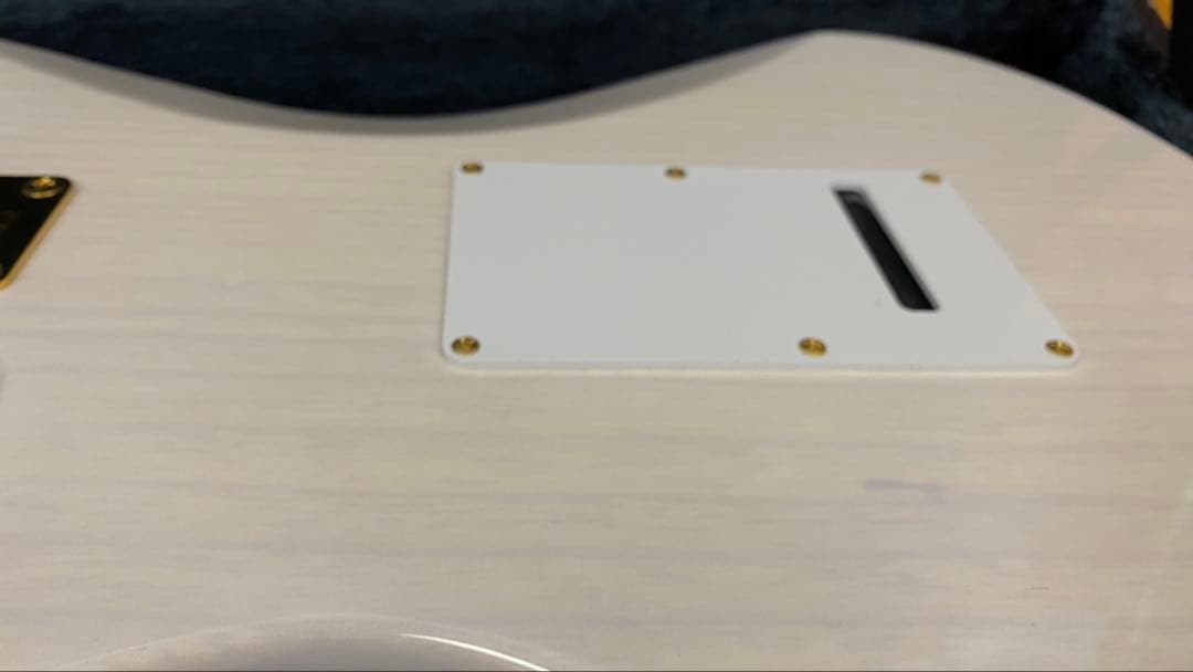 FUJIGEN EXPERT-OS/AH White Blonde（フジゲン）