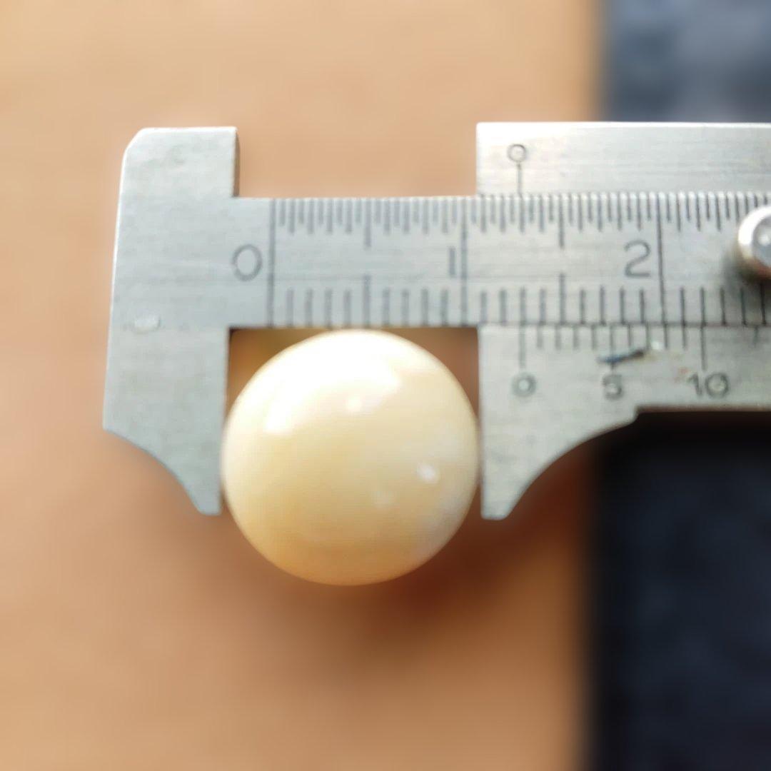 【宮本武蔵さん専用】鯨歯　マッコウクジラ　牙玉ペンダントトップ　13㎜　５個