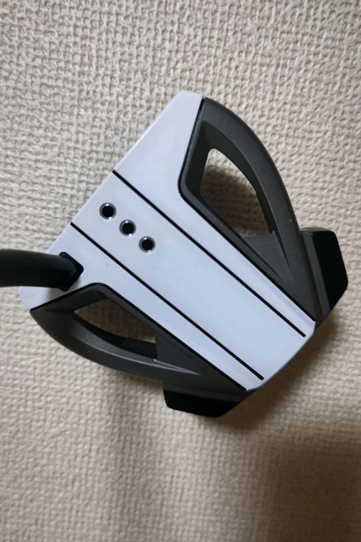 テーラーメイド Spider EX プラチナム SMALL SLANT