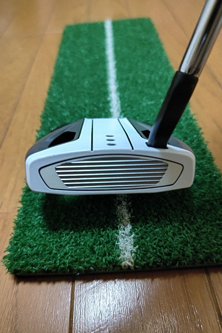 テーラーメイド Spider EX プラチナム SMALL SLANT