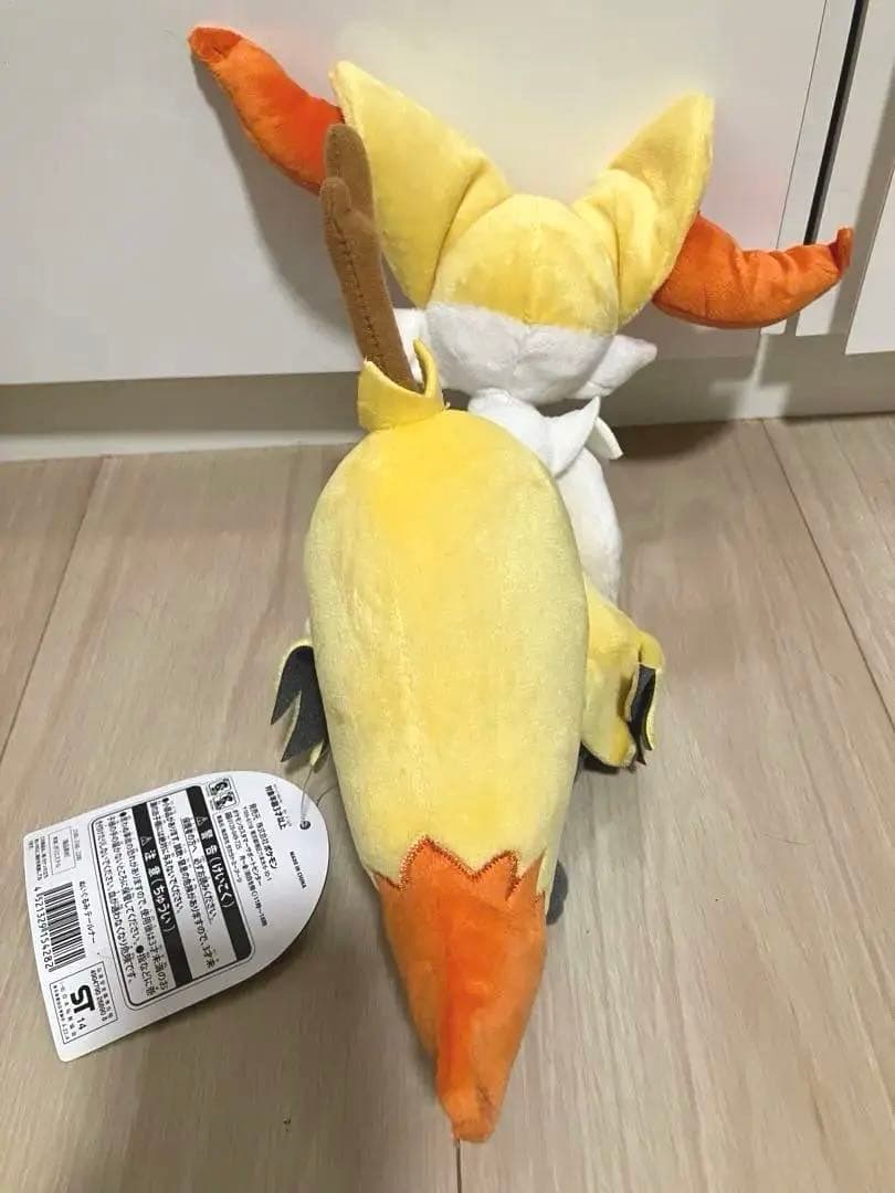 ポケモンセンター ぬいぐるみ テールナー タグ有