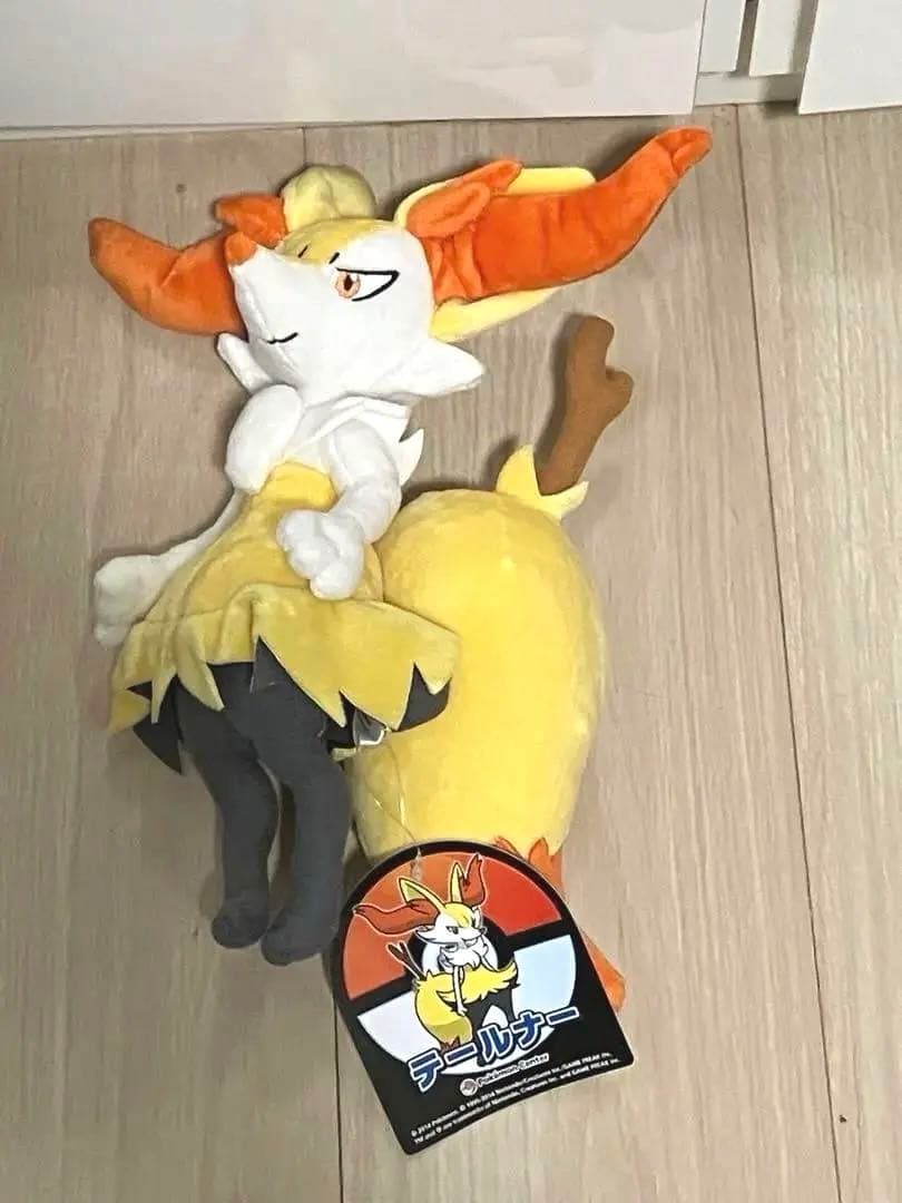 ポケモンセンター ぬいぐるみ テールナー タグ有