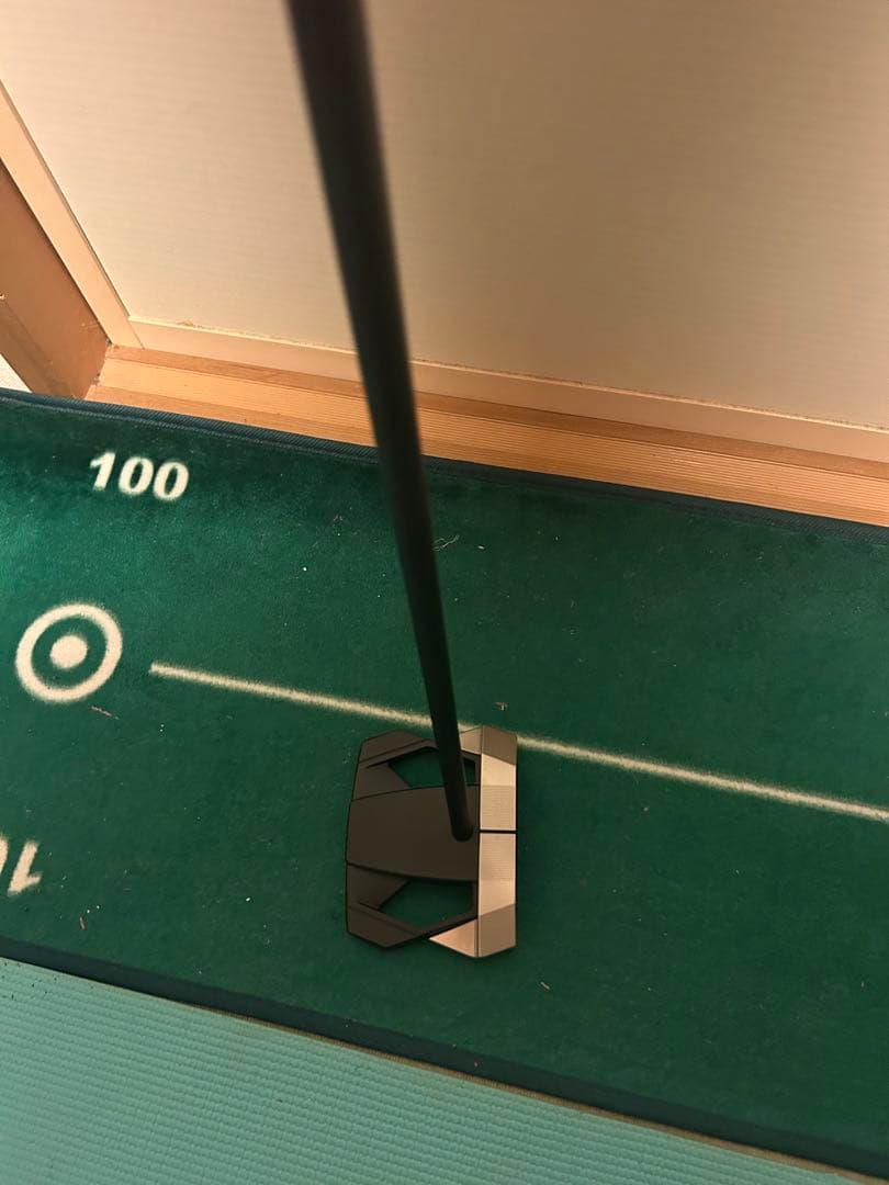 最新 テーラーメイド スパイダー Spider ZT長尺 46インチ　ゼロトルク