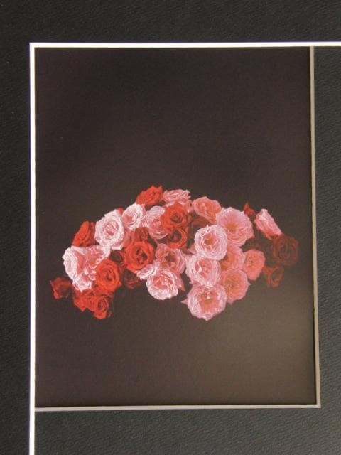 港信夫、薔薇、希少な画集より、新品高級額・額装付、状態良好