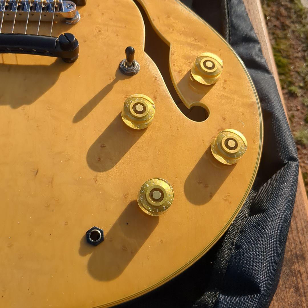 Yamatoセミホロウボディ エレキギター貴重 ケース付