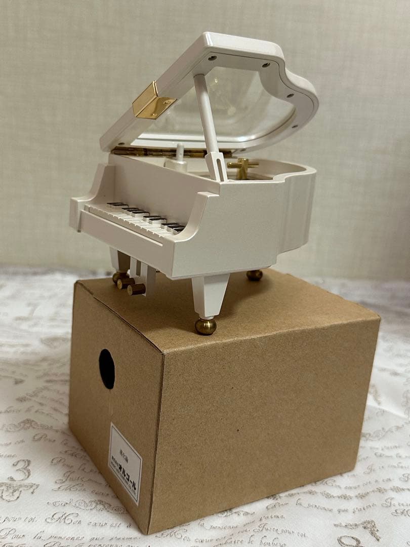 【SOPHIA】進化論♩オルゴール /18弁