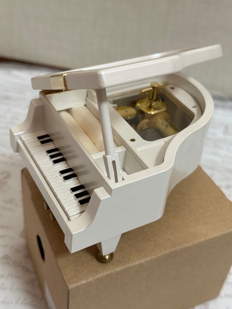 【SOPHIA】進化論♩オルゴール /18弁