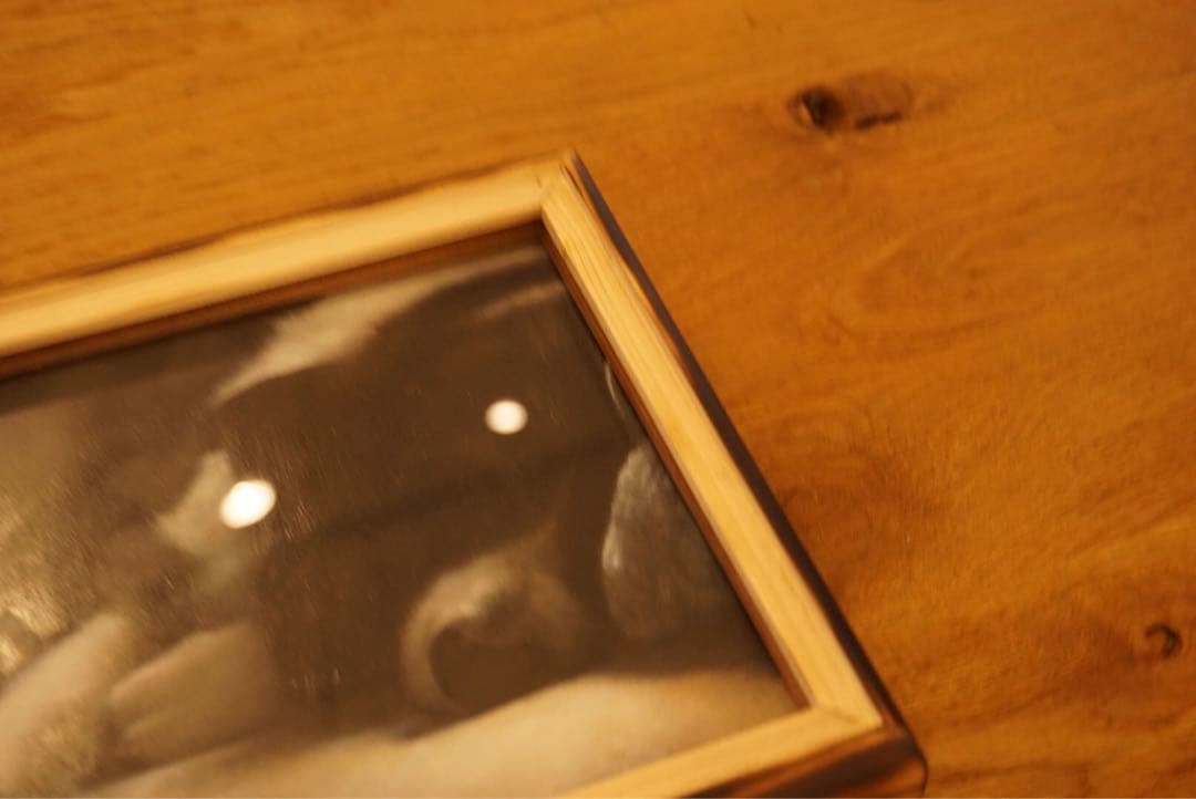 ペットの似顔絵オーダー受付専用