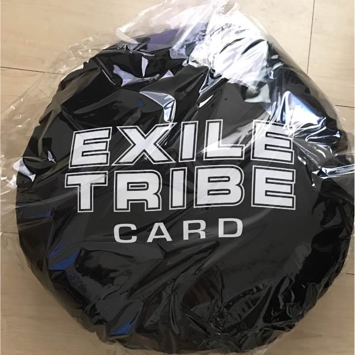 TAKAHIRO クッション