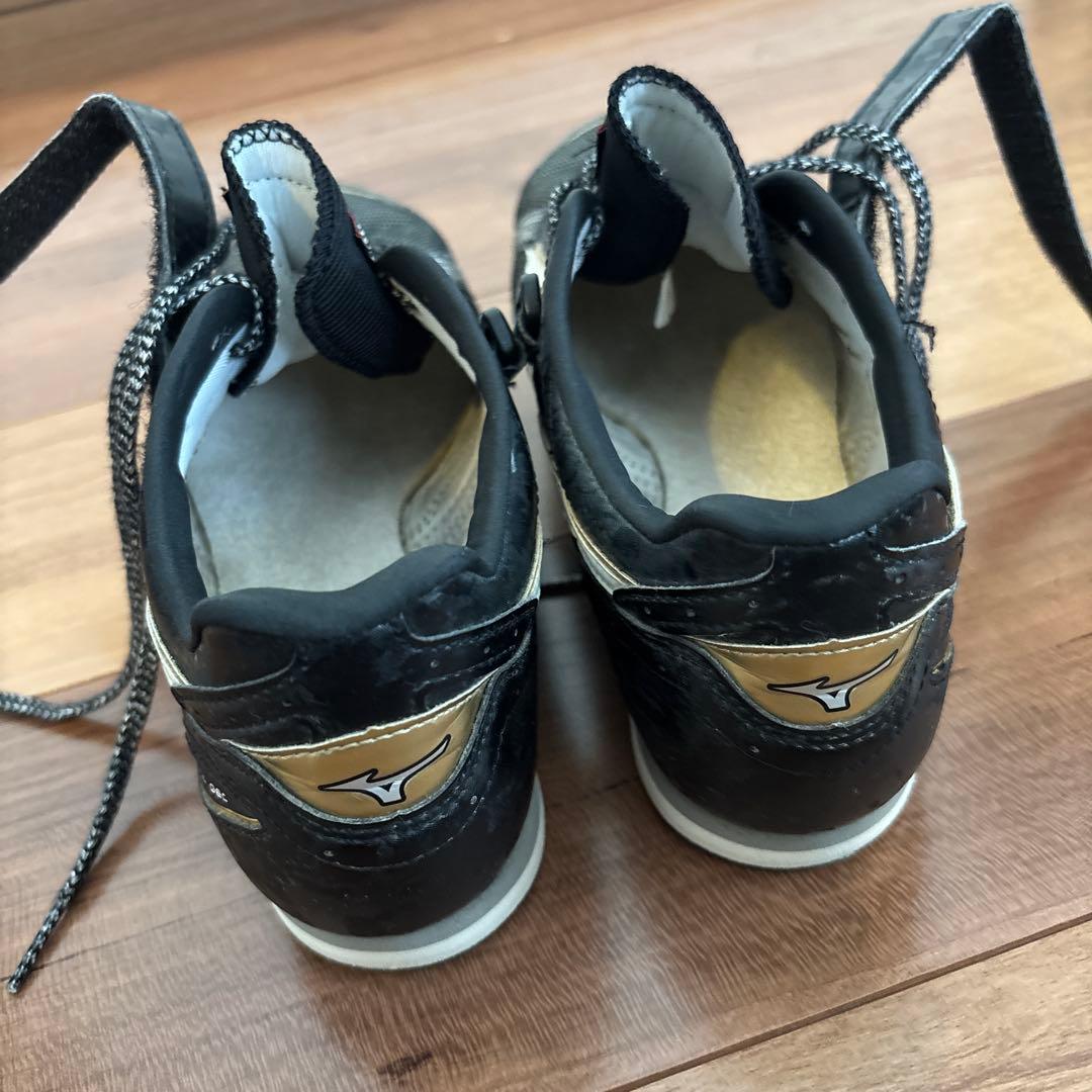 ミズノフィールドジオ AJ-C 24.5cm