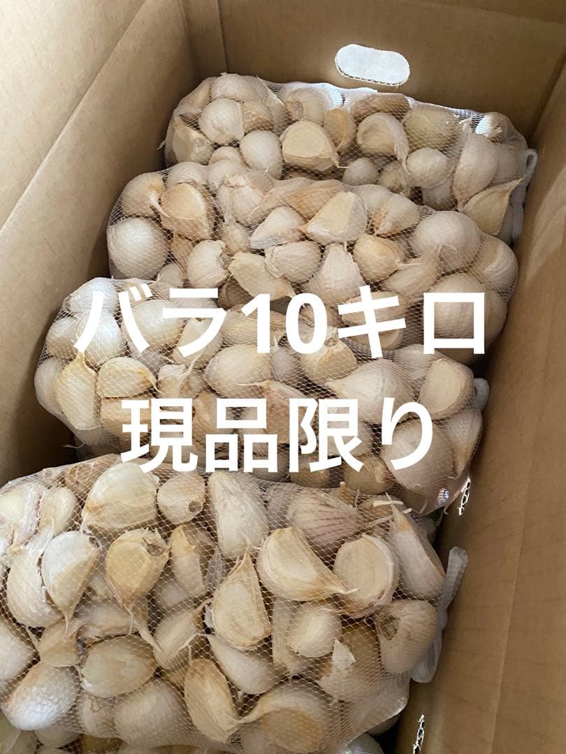 新物　青森県バラにんにく10Kg 大　ラスト