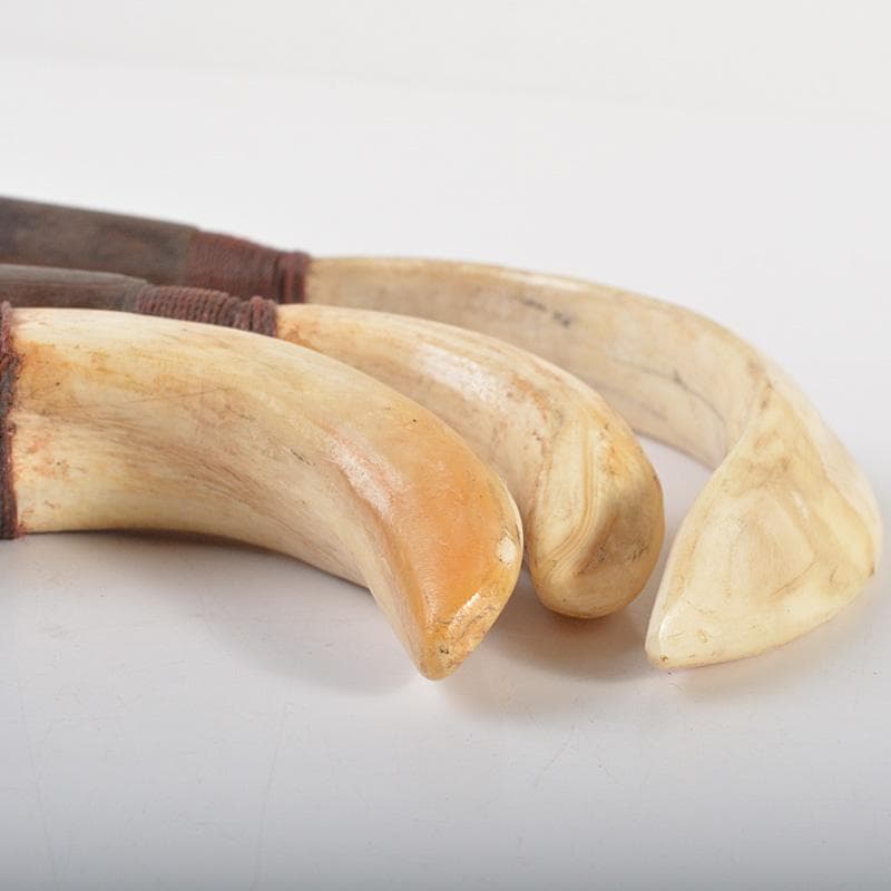 古民芸　イノシシ　猪牙　ちょき　根付　三点　検石見根付　V　6606