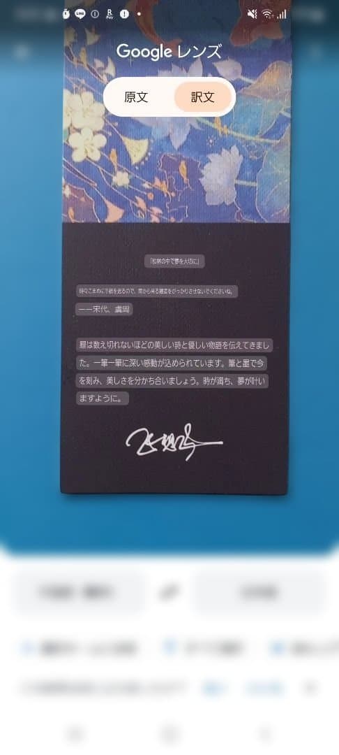 新品未使用　稀少　PARKER 万年筆セット 鯉