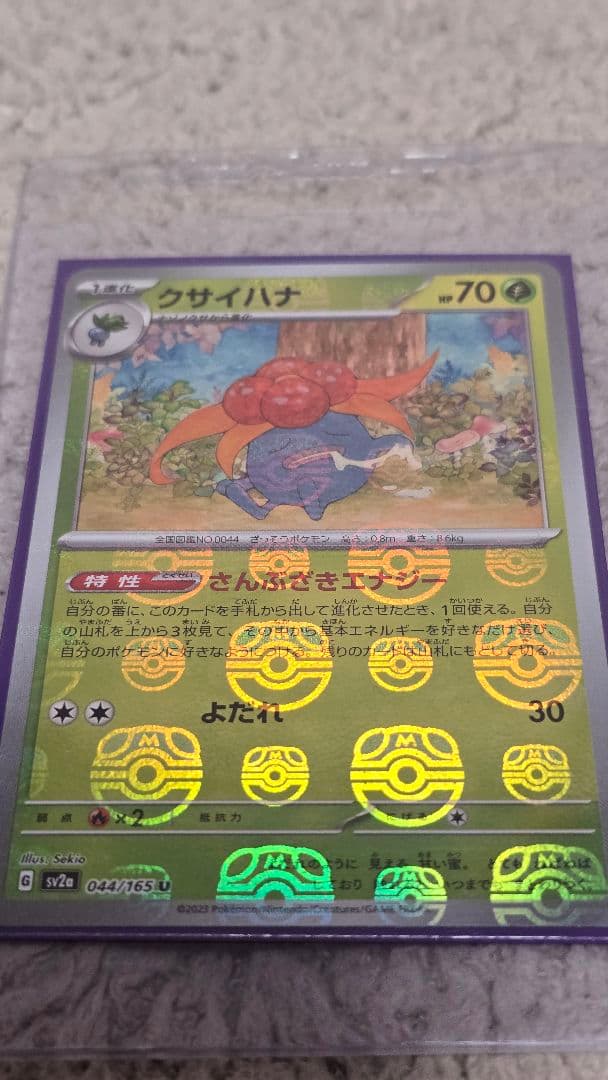 ポケモンカードコレクションセット　まとめ売り