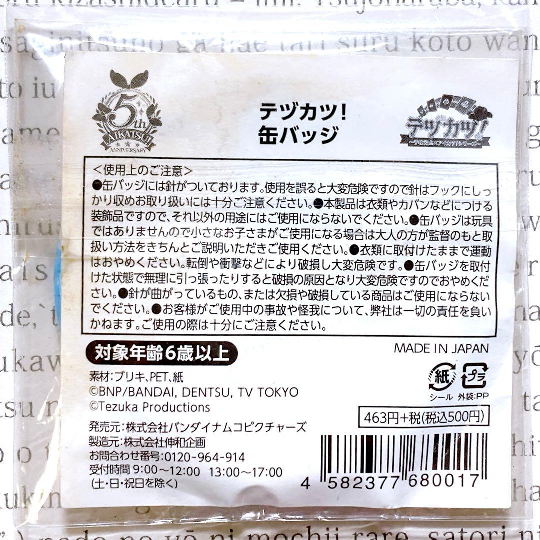 【新品・未開封品】アイカツ！ テヅカツ 星宮いちご 缶バッジ