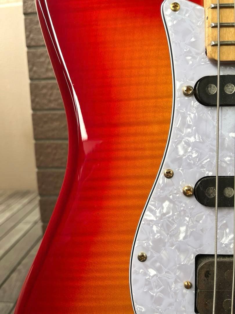 【動作◯】 シェクターネック コンポーネントギター