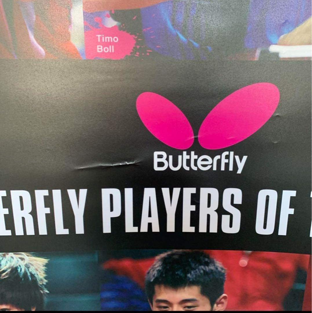 バタフライ PRAYERS OF YEAR 販促用特大タペストリー 卓球 水谷隼