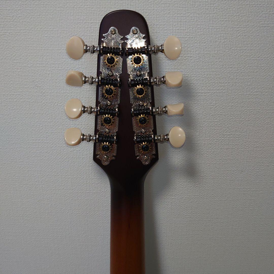 Seagull S8 マンドリン ハードケース付き