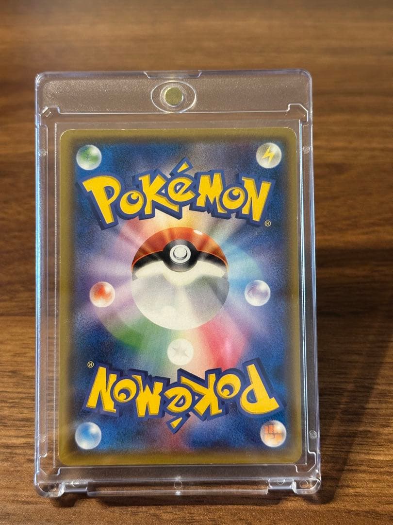 ポンチョを着たイーブイ (ブラッキー)