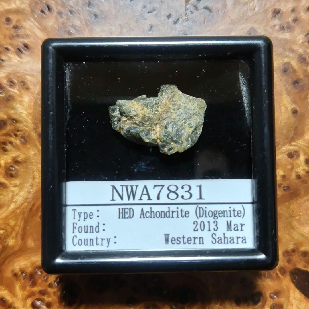 ✨️小惑星ベスタ起源　ＮＷＡ7831隕石標本