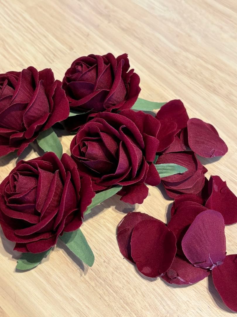 ウェルカムスペース　美女と野獣