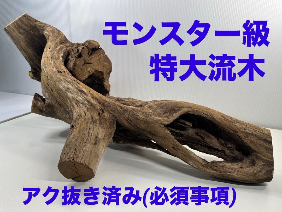 V70特大流木 アク抜き済み流木 爬虫類シェルター 登り木 インテリア 生け花