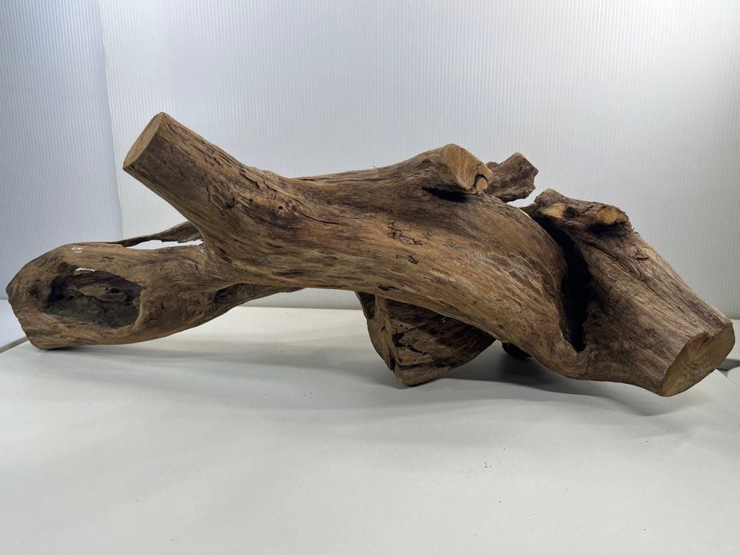 V70特大流木 アク抜き済み流木 爬虫類シェルター 登り木 インテリア 生け花