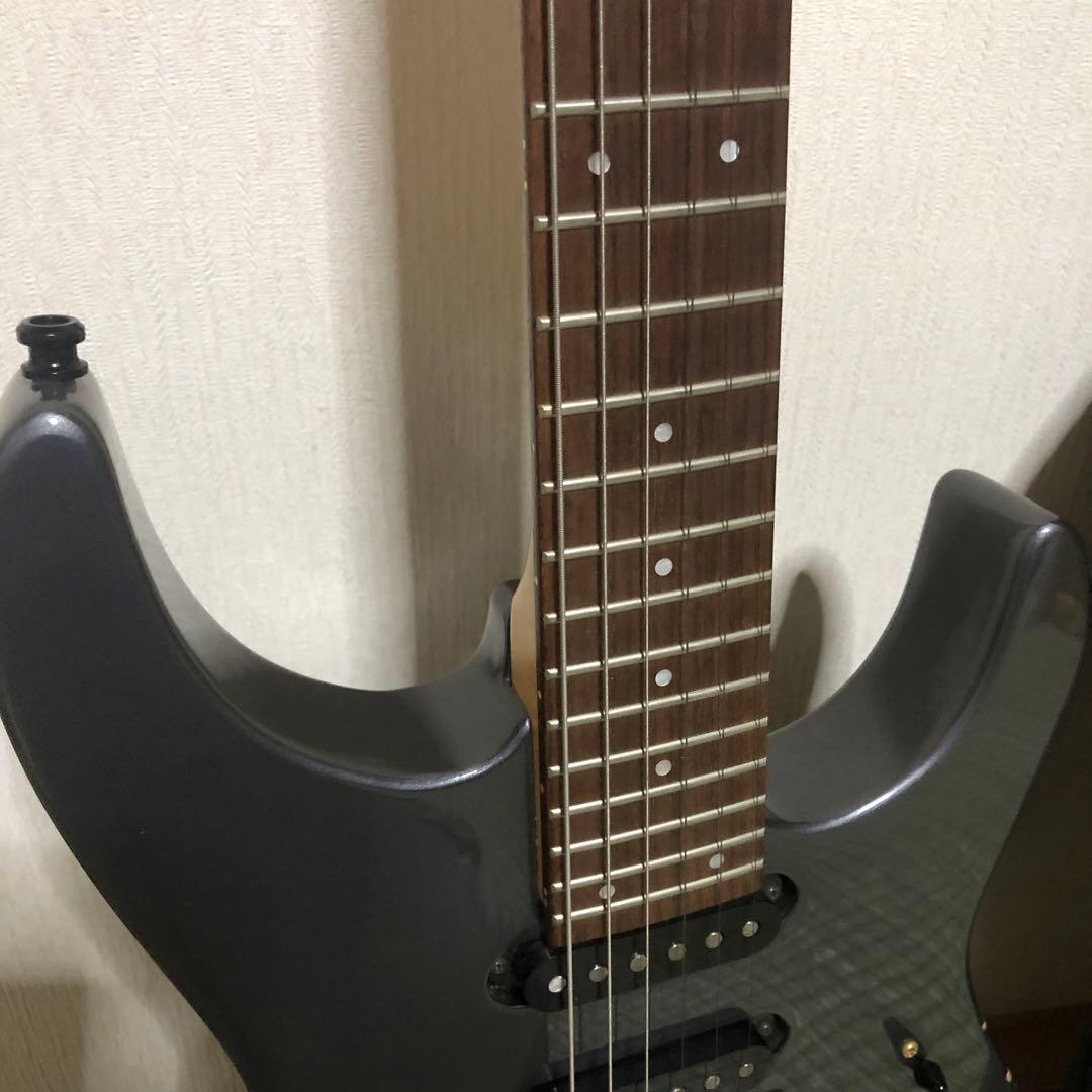 ケン　楽器　ソフトケース付き