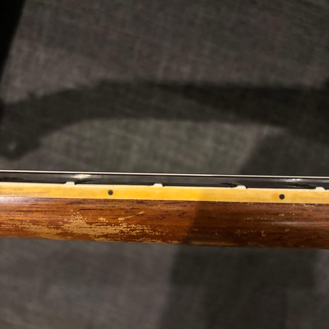 Argus アーガス セミアコ ES-335タイプ フレットエッジバインディング