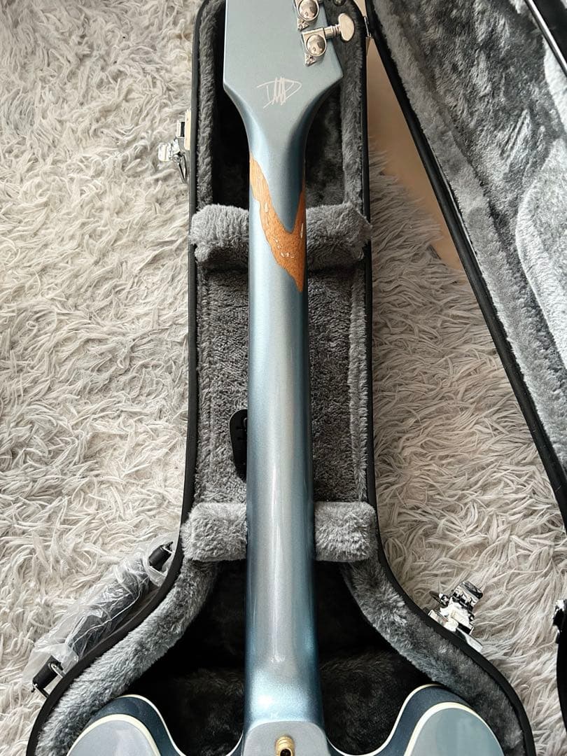 ギター Epiphone Dave Grohl DG-335