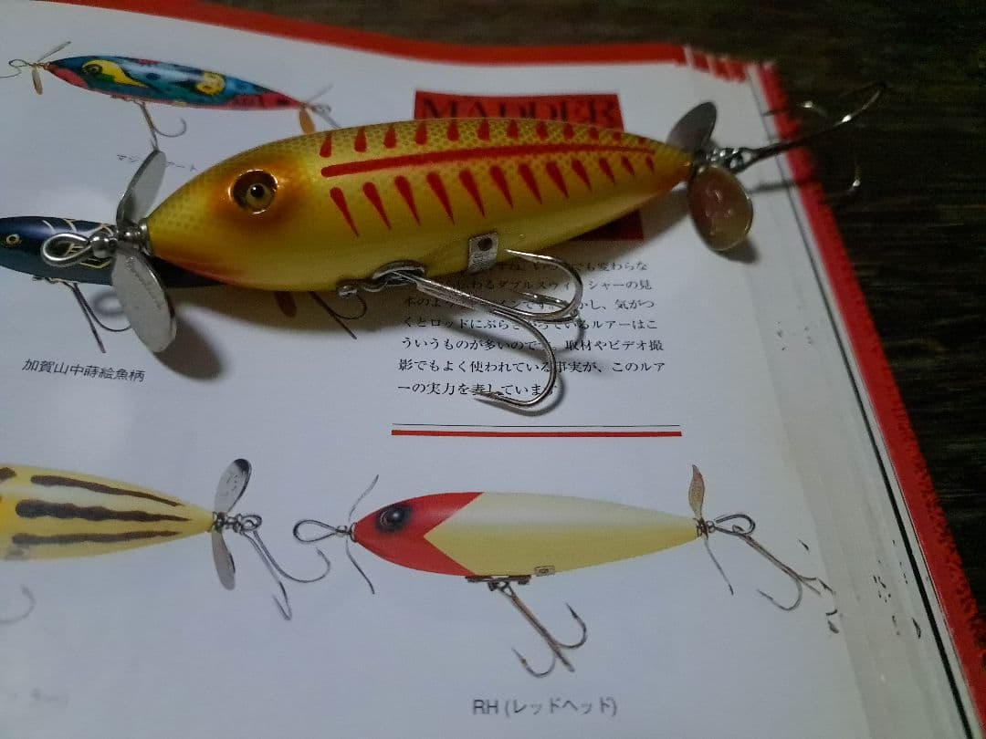 道楽　DOWLUCK 　ドウラク　マダデスハイダブル