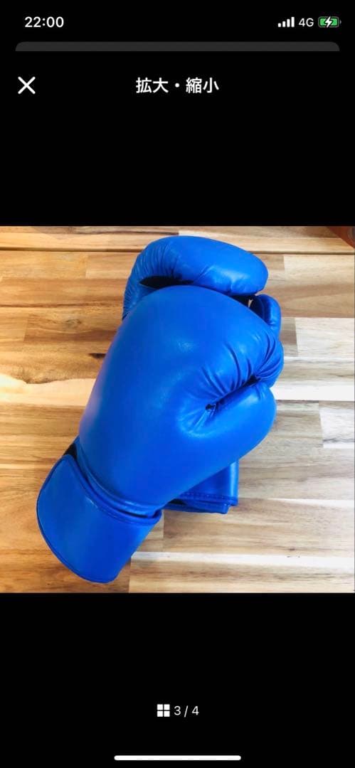 トレーニング用サンドバッグ　新品 グローブ付き