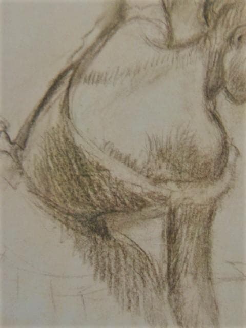 Edgar Degas、エドガー・ドガ、【DANSEUSE, BUSTE】