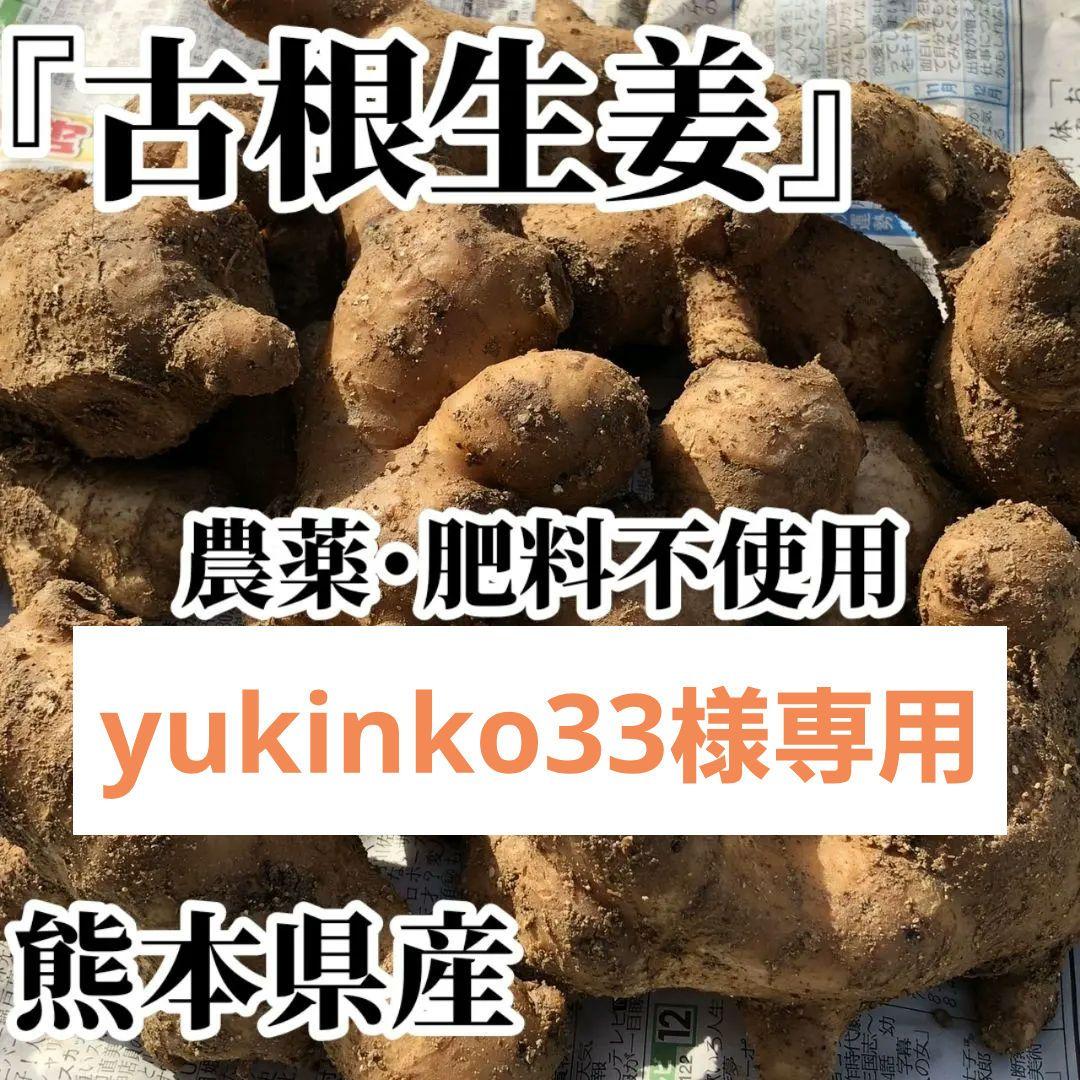 yukinko33　古根生姜 農薬肥料不使用　5kg