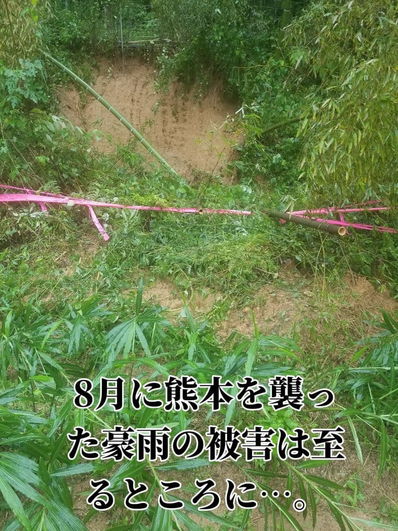 yukinko33　古根生姜 農薬肥料不使用　5kg