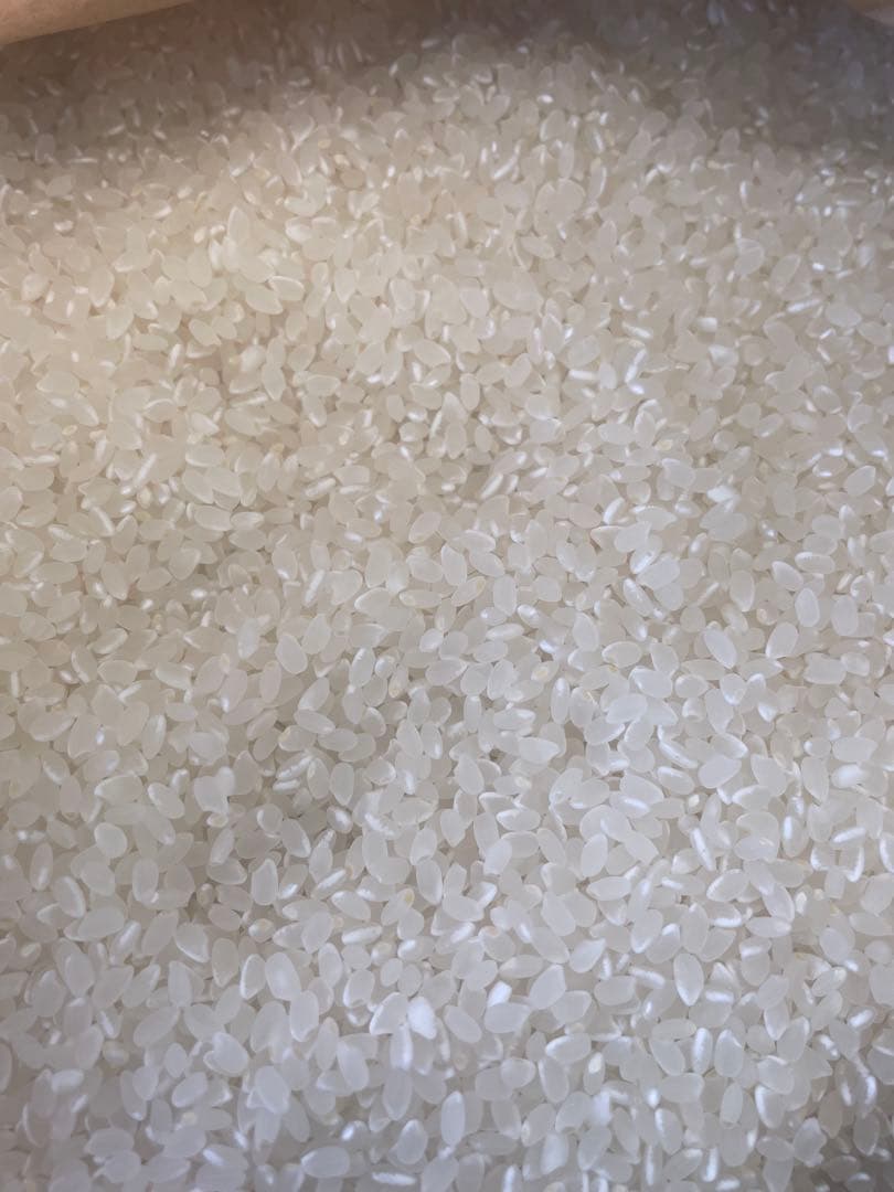 宮城県産　農家直送　令和7年　ひとめぼれ 白米　27キロ