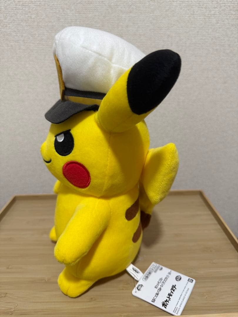ポケモン ぬいぐるみ 10体セット