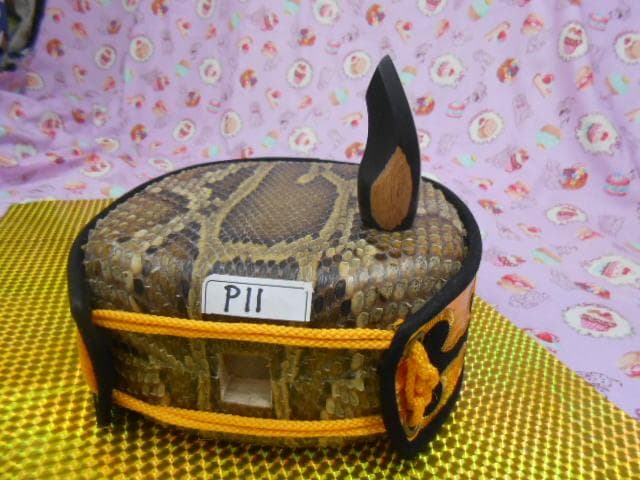 P11現品販売(送料無料)16.980円　沖縄三線専用　蛇皮強化張チーガ、黒檀爪