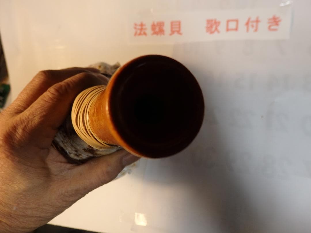 法螺貝 約40㎝ 木製歌口,新品 MH-475