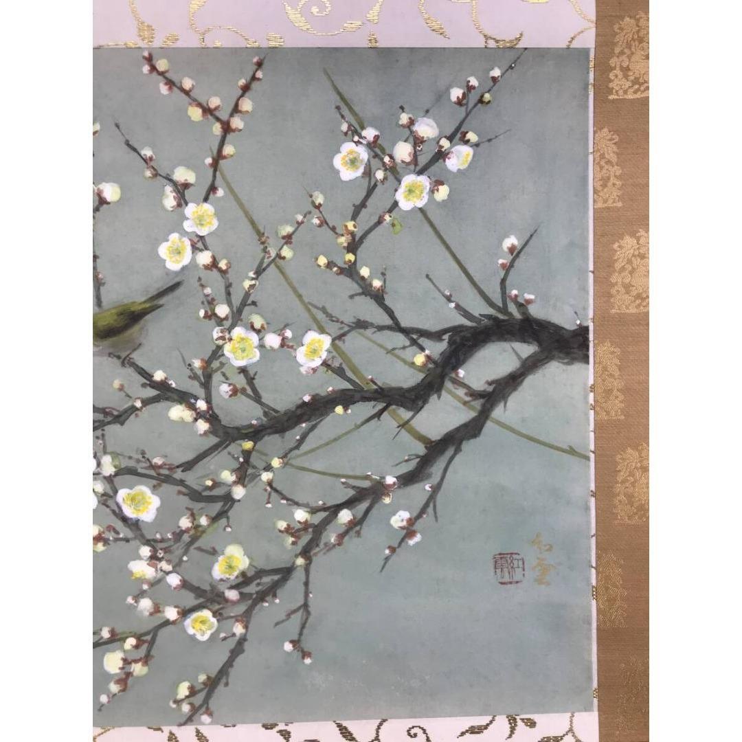 真作/山本紅雲/白梅に鴬図/ウグイス/花鳥図/春/掛軸/名家伝来/AK-447