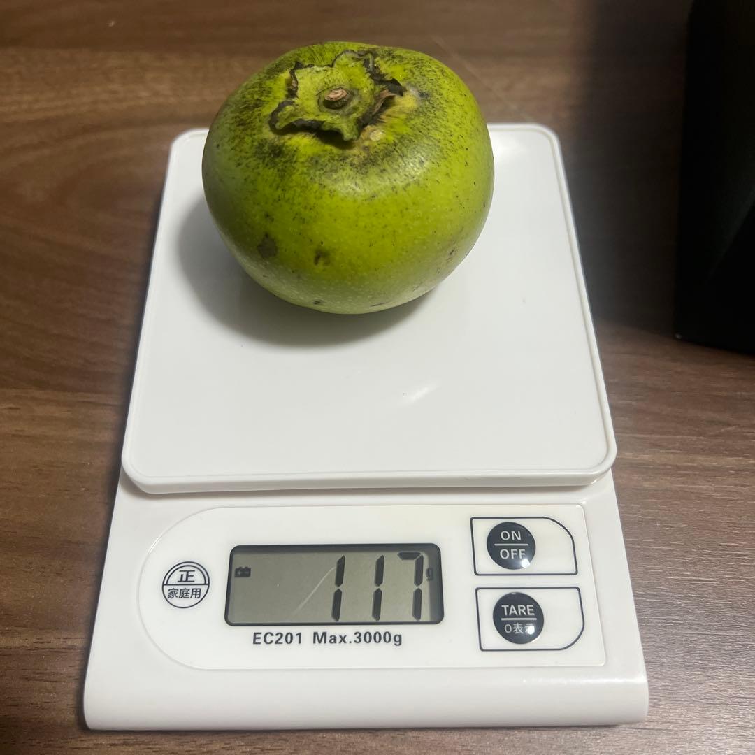 沖縄県産ブラックサポテ