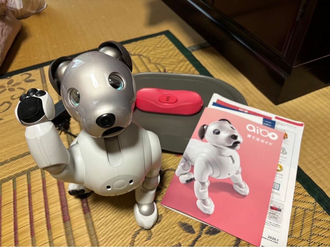 SONY アイボ ERS-1000 送料込